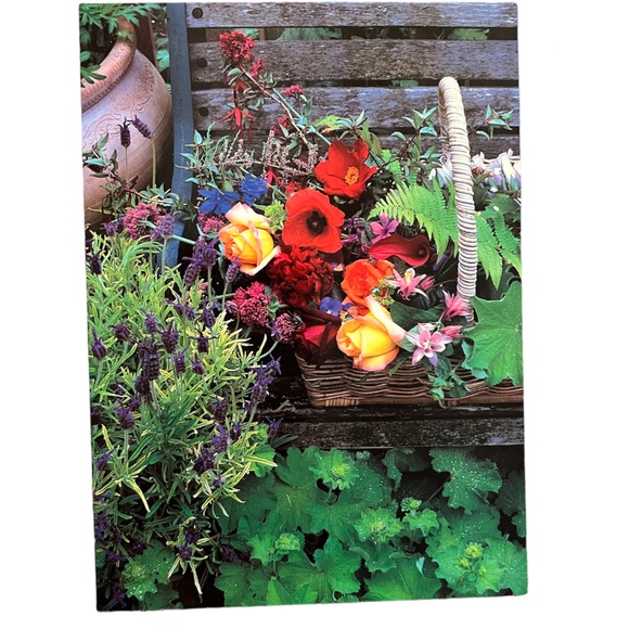 Collection of Flowers and Doors and Windows Photography Blank Greeting Cards - Picture 4 of 13